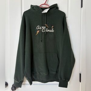 Brandy Melville Aspen Colorado Forest Hoodie (O/S)